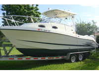 hydra sport wa vector 260 Click to launch Larger Image