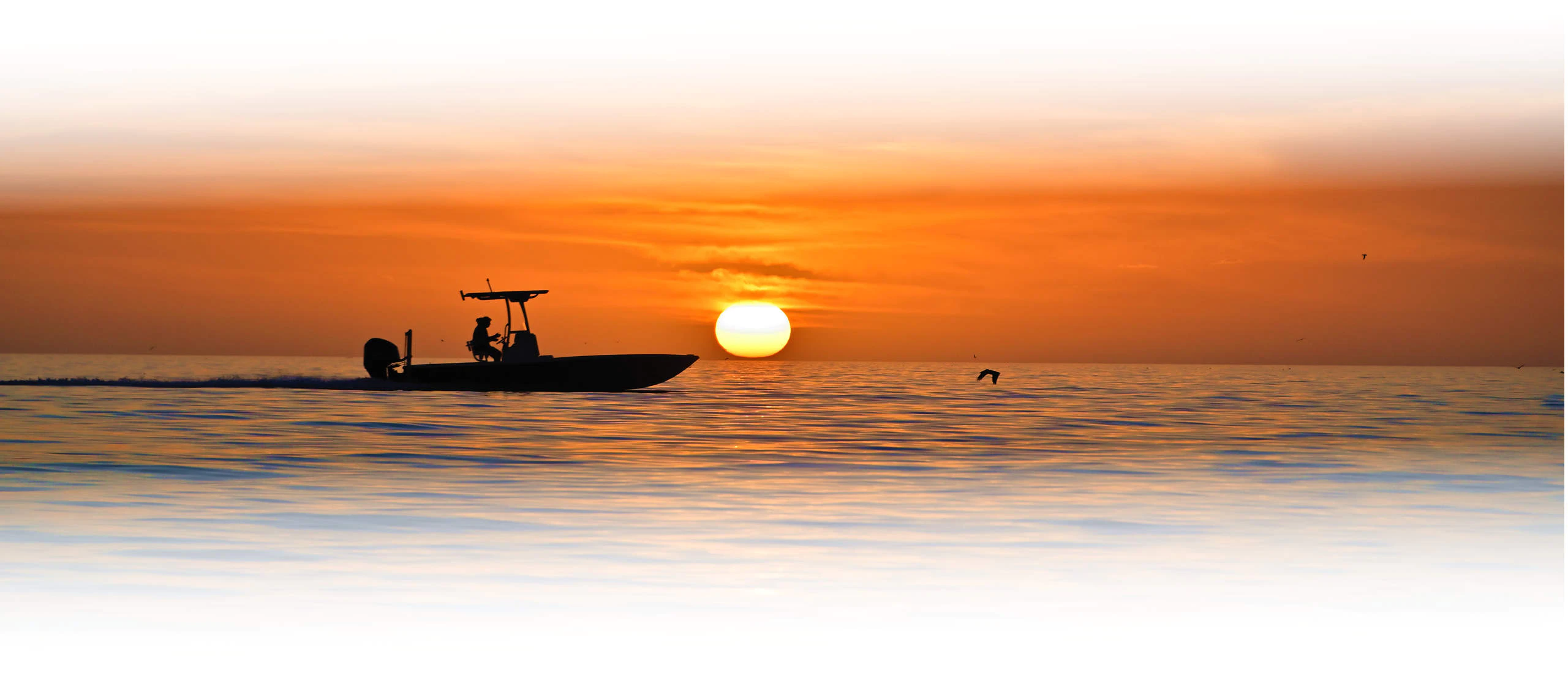 Find a Great Performance Powerboat