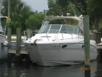 Sea Ray Amberjack 290 