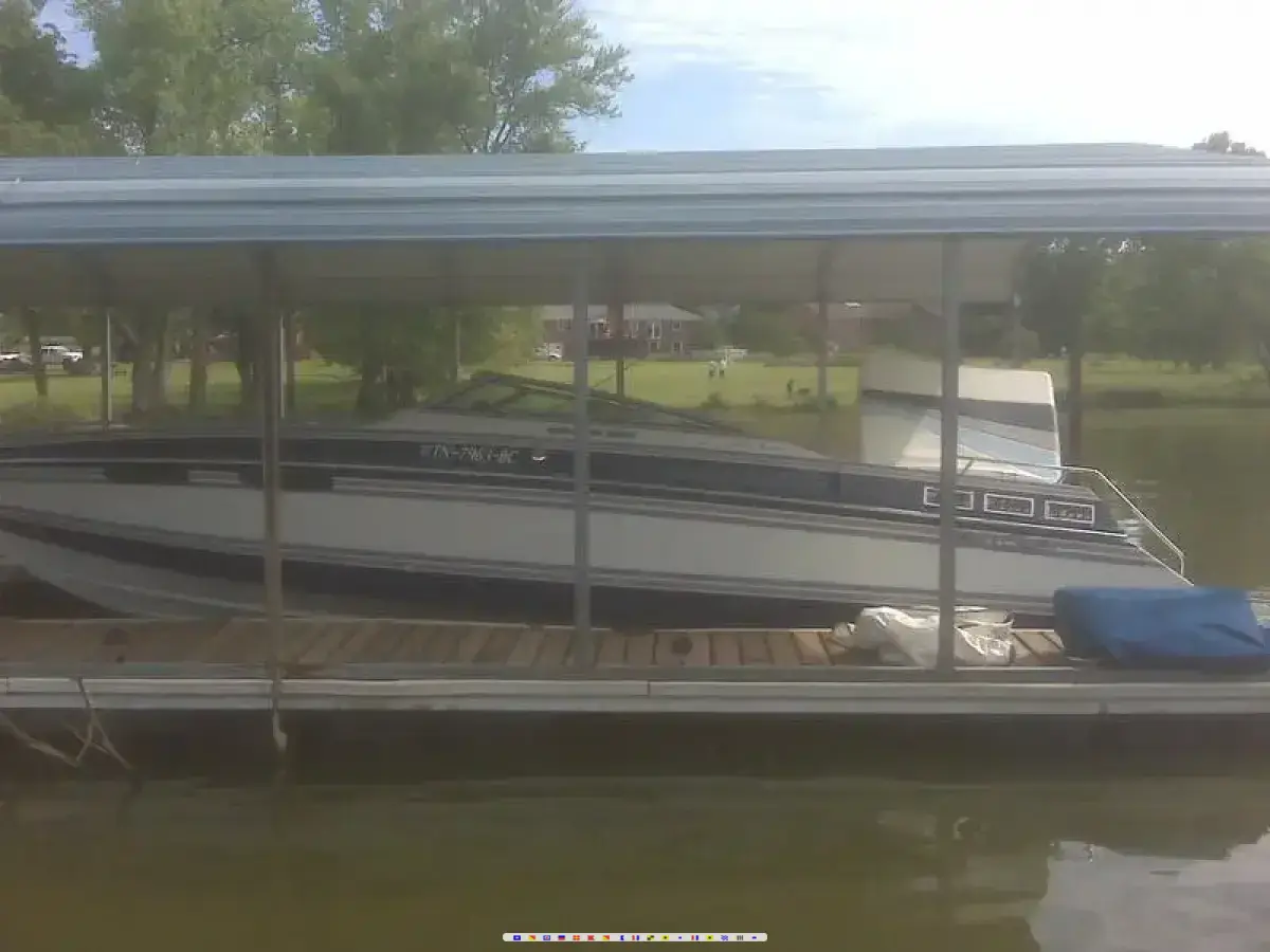 Chris Craft Stinger 