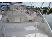 Shamrock 260 Express 