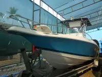 Donzi ZX Center Cockpit W Trailer 