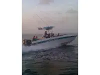 Wellcraft Scarab Sport 