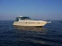 Regal 402 