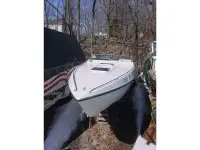 Chris Craft Stinger