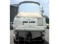 Sea Ray Sundancer 