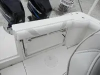 Boston Whaler Outrage 