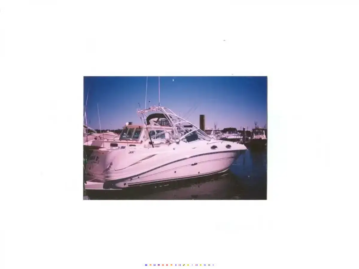 Sea Ray Amberjack Sea Ray Amberjack