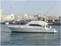 Bertram 570 Sportfish 