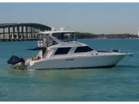 Sea Ray Sedan Bridge 