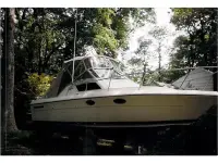 Tiara 2600 Continental 