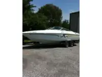 Baja Boss 245 
