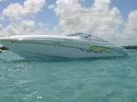 Baja Boss performance 302 