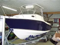 Sea Swirl Striper