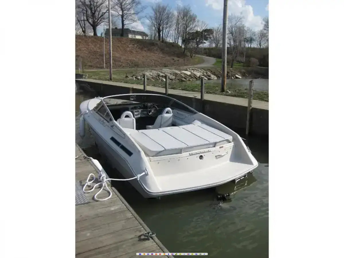 Sea Ray Pachanga Sea Ray Pachanga