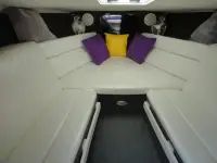 VIP Vindicator