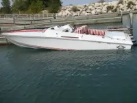 Magnum Maltese