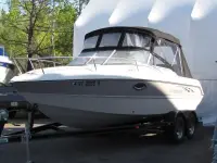 Stingray 220CS 
