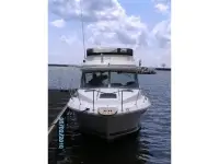 Sea Ray 270 Sportfish Amberjack Flybridge 