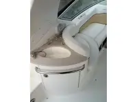 Sea Ray 260 
