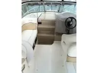 Sea Ray 260 