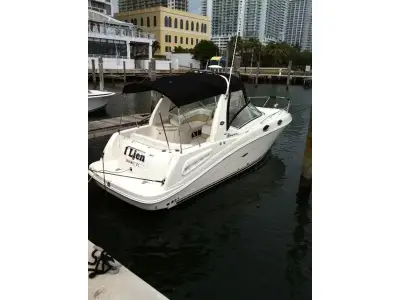 Sea Ray 260 