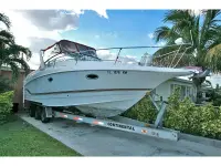 Larson Cabrio 290 