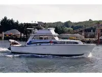 Viking SF38 