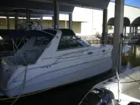 Sea Ray Sundancer 