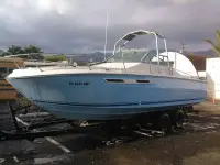 Sea Ray Express 