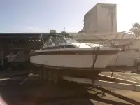 Wellcraft Express 