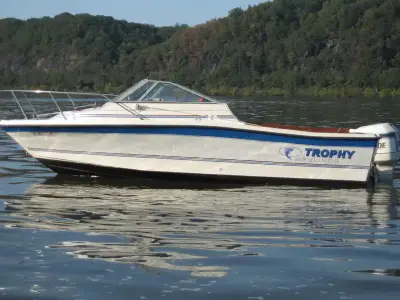 Bayliner 2102 fe 
