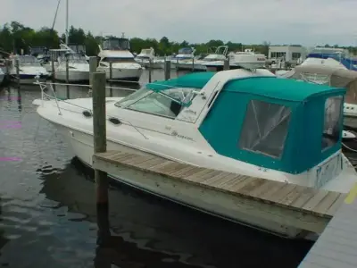 Sea Ray Sundancer 300 