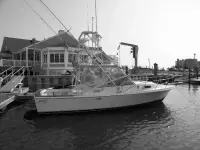 Blackfin Combi 