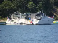 Rinker Fiesta Vee 290 