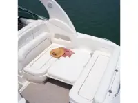 Sea Ray Sundancer 