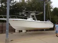 Cobia 256 