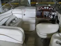 Wellcraft 2600 Martinique 