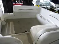 Wellcraft 2600 Martinique 