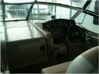 Sea Ray Sundancer 310 