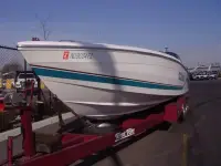 Wellcraft Scarab Racing Excel 