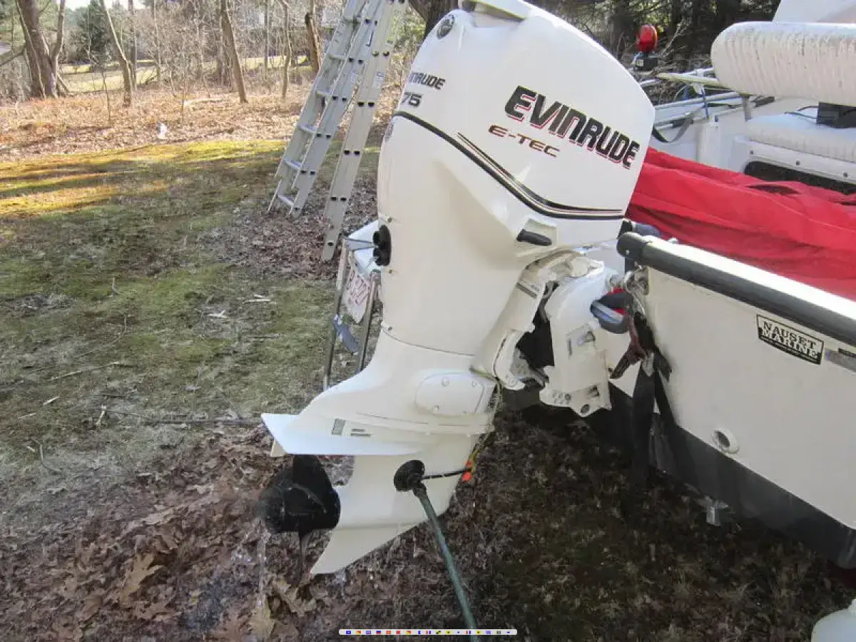 Boston Whaler Dauntless 