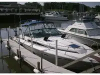 Sea Ray Sundancer 