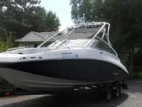 Sea-Doo Challanger 230 SE Wake Tower 