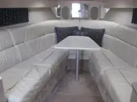 Formula 370SS 