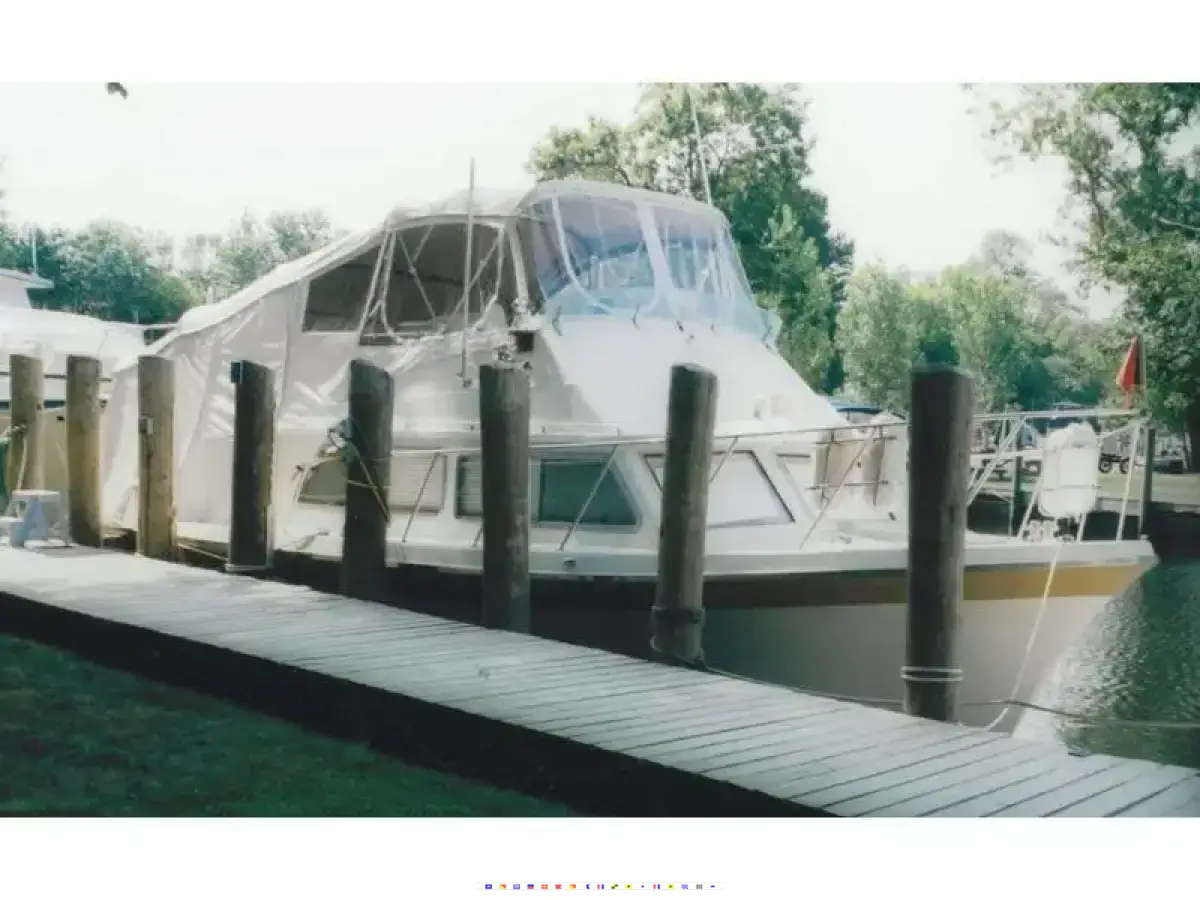 Luhrs 320 