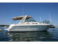 Sea Ray Sundancer 310 