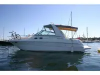 Sea Ray Sundancer 310 