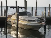 Regal AMBASSADOR 245XL 