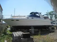 Sea Ray Sundancer 290 